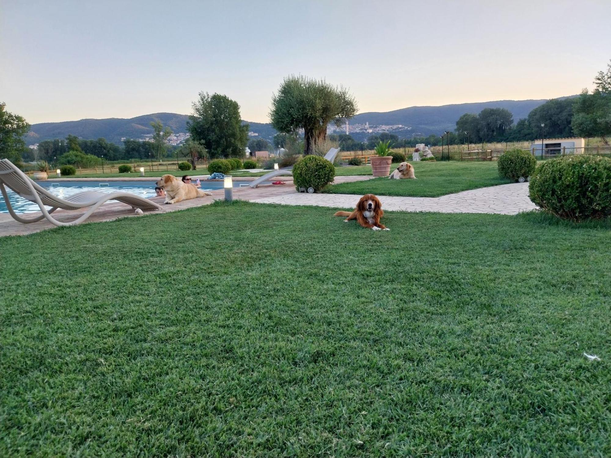 Agriturismo Tenuta Filippi Narni Exterior foto